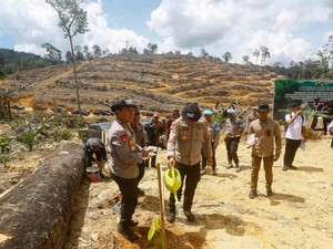 Polda Riau Lakukan Reboisasi di Lahan Hutan Lindung yang Dirusak Perambah
