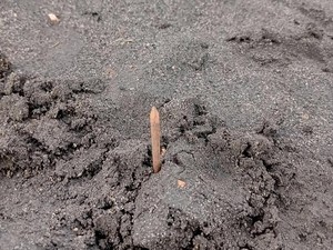 Wisatawan-Pelaku Usaha Bromo Minta Pelaku Teror Ranjau Paku Diusut
