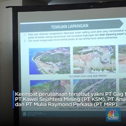 Video: Menteri LH Proteksi Raja Ampat, Ultimatum 4 Perusahaan Tambang