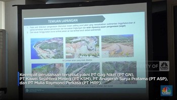 Video: Menteri LH Proteksi Raja Ampat, Ultimatum 4 Perusahaan Tambang
