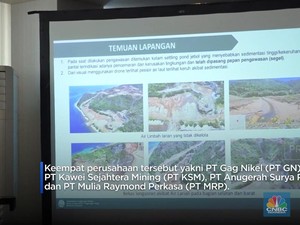  Menteri LH Proteksi Raja Ampat, Ultimatum 4 Perusahaan Tambang 