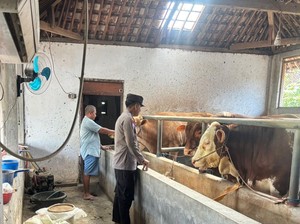 Demi Ketahanan Pangan Polresta Banyuwangi Dukung Peternakan Sapi Rakyat