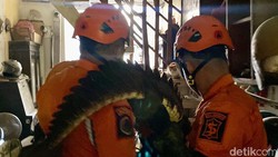 Alasan Pelihara Buaya hingga 6 Tahun di Surabaya, Zainudin: Lucu, Imut