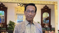 Sultan Sentil Pemkab Sleman soal Kandang PSIM: Mosok dari Jogja Nggak Boleh