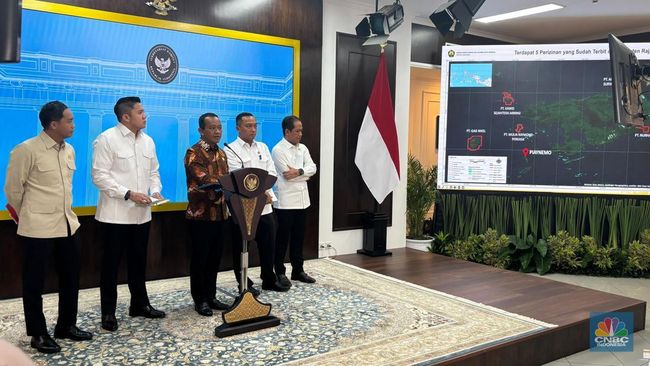 4 Izin Tambang Nikel di Raja Ampat Resmi Dicabut, Ada Punya China