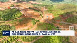 Video: KLH: PT GAG Nikel Punya Hak Spesial Menambang di Raja Ampat