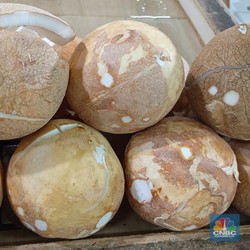 Pedagang Teriak, Harga Kelapa Parut Susah Turun-Rebutan Sama Eksportir