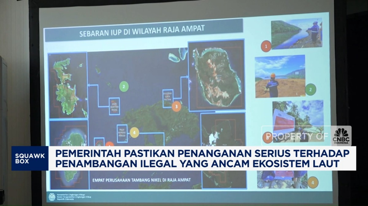 Video: Pemerintah Jamin Tangani Serius Penambangan Ilegal Raja Ampat