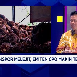 Video: Tarif Ekspor Naik, Emiten CPO Makin Terjepit?