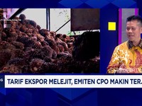 Video: Tarif Ekspor Naik, Emiten CPO Makin Terjepit?