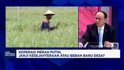 Video: Budi Arie Ungkap Koperasi Jadi Senjata Lawan Ketidakadilan Desa