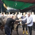 Pegadaian Salurkan Ratusan Hewan Kurban bagi Masyarakat