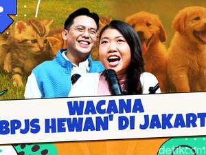Wacana BPJS Hewan di Jakarta