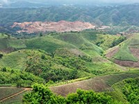 Harta Karun Dunia Terancam, China Ultimatum Pemberontak Tetangga