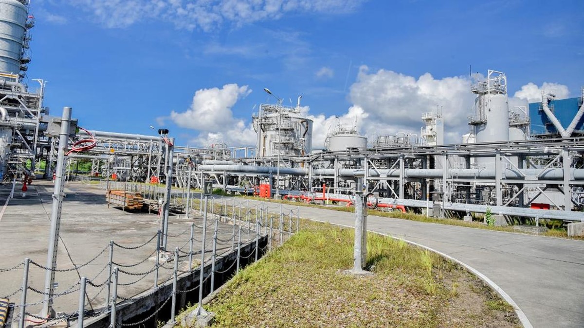 Sepertiga Gas di RI Dihasilkan dari Kilang Gas Besar di Papua Barat