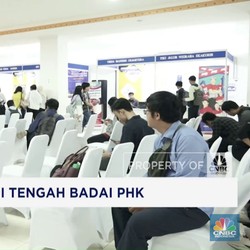 Video: Sulitnya Cari Kerja di Tengah Badai Phk