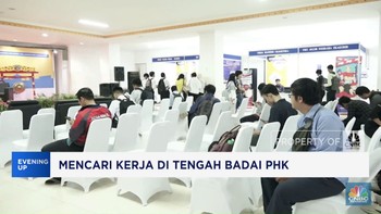 Video: Sulitnya Cari Kerja di Tengah Badai Phk