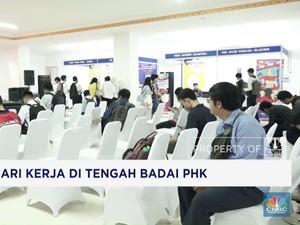 Video: Sulitnya Cari Kerja di Tengah Badai Phk