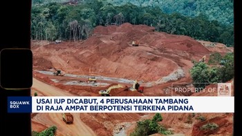 Video: IUP Dicabut, 4 Perusahaan Tambang di Raja Ampat Terancam Pidana
