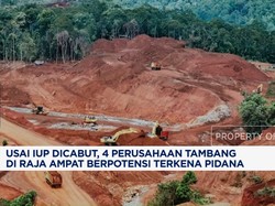 Video: IUP Dicabut, 4 Perusahaan Tambang di Raja Ampat Terancam Pidana