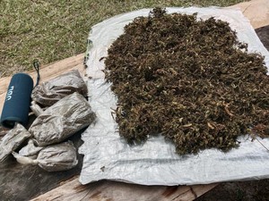 HP Egianus Kogoya Ditemukan, Terungkap KKB Punya Kebun Ganja untuk Beli Senpi