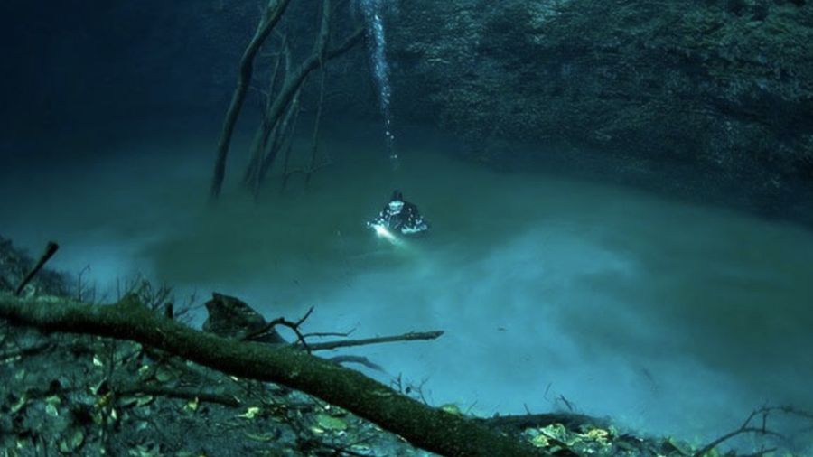 cenote angelita. (Ist via DetikInet)