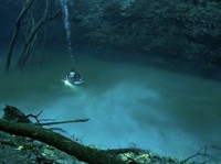 Fakta Sungai di Bawah Laut yang Disebut Al-Qur'an, Ini Kata Ilmuwan