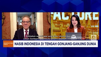 Video: Ekonom AS Soroti Stabilitas dan Pajak Jadi Kunci Ekonomi RI