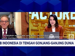  Ekonom AS Soroti Stabilitas dan Pajak Jadi Kunci Ekonomi RI