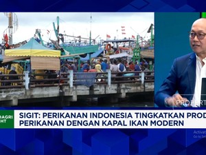 Video: Jurus PT Perindo Bantu Nelayan & Perluas Ekspor ke Pasar Non-AS