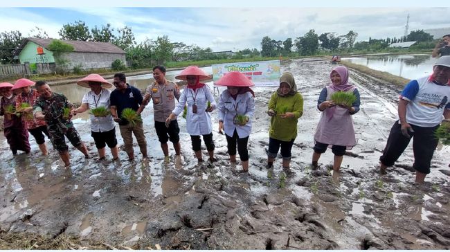 Pertanian Regeneratif Sarihusada: Menjaga Bumi, Mensejahterakan Petani