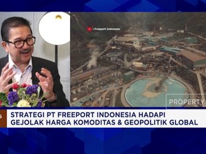 Video: Bos Freeport Soroti Tantangan Hilirisasi dan Daya Saing RI