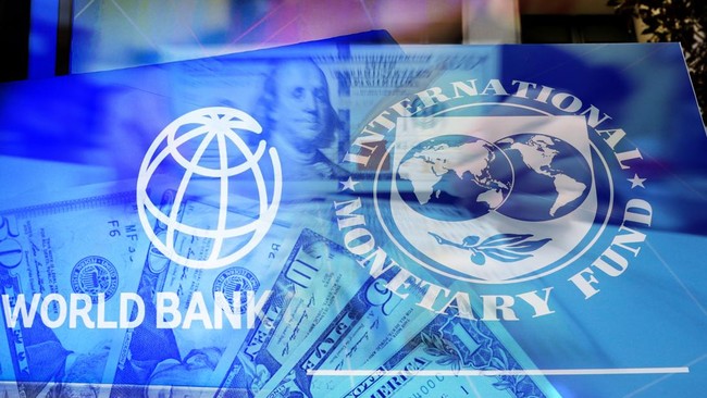 10 Negara Ini Punya Utang Jumbo ke IMF per Mei 2026, Ada RI?
