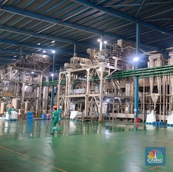 Tak Cuma Menambang, Harita Komitmen Jalankan Hilirisasi Terintegrasi