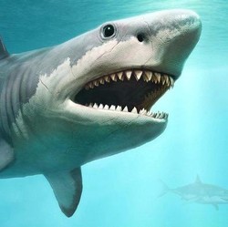 Alasan Ikan Hiu Punya Lubang Hidung Walau Tak Memiliki Paru-Paru