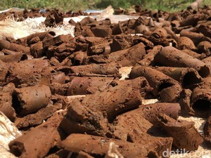 Fakta Unik Ampo hingga Bonbon Te, 5 Kuliner Tradisional Berbahan Tanah