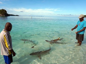 7 Negara dengan Pulau Paling Banyak di Dunia, Nomor 1 Bukan Indonesia