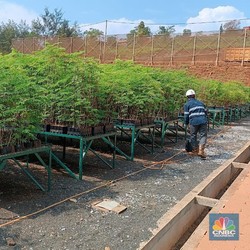 Harita Bakal Reklamasi 66 Hektare Lahan Eks Tambang Nikel Tahun Ini
