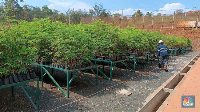 Harita Bakal Reklamasi 66 Hektare Lahan Eks Tambang Nikel Tahun Ini