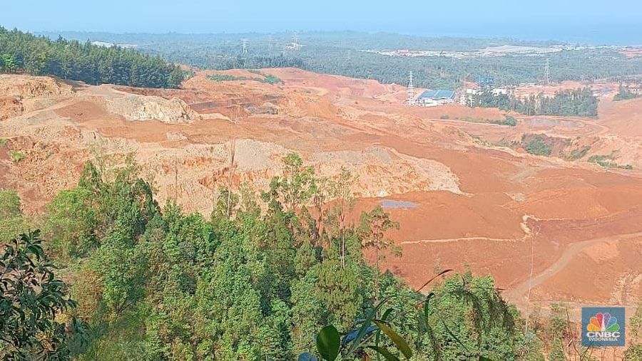 Nurseri dan Reklamasi pasca tambang Harita Nikel, di Obi, Halmahera Selatan. (CNBC Indonesia/Pratama Guitarra)