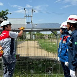 Limbah Ikan Jadi Cuan di Desa Energi Berdikari Pertamina