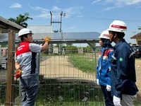Limbah Ikan Jadi Cuan di Desa Energi Berdikari Pertamina