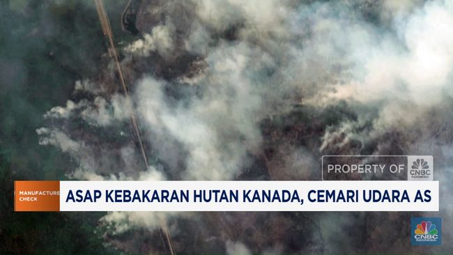 Video: Asap Kebakaran Hutan Kanada Cemari Udara AS