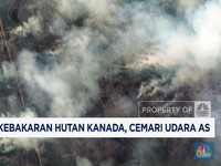 Video: Asap Kebakaran Hutan Kanada Cemari Udara AS