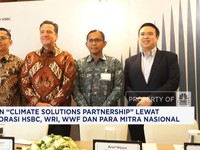 Video: 5 Tahun 
