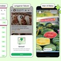 WhatsApp Berubah Total di RI, Jangan Kaget Ada Iklan di Status WA