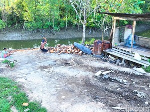Sungai di Tarakan Barat Diduga Jadi Pusat Aktivitas Kayu Ilegal