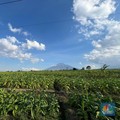 GAPPRI Sambut Positif Wacana Penurunan Cukai Rokok