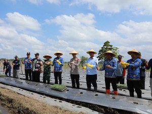 Dukung Ketahanan Pangan, Forkopimda Kota Malang Serahkan Alsintan-Benih