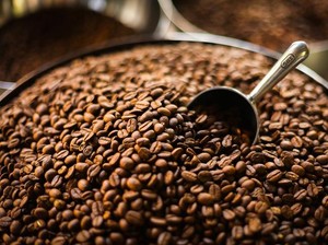 Kopi Liberika Lagi Hype! 5 Fakta Ini Perlu Kamu Tahu